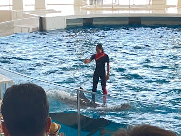 アクアワールド茨城県大洗水族館に投稿された画像（2023/7/22）