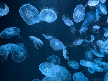 AOAO SAPPOROに投稿された画像（2023/7/22）