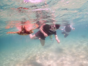 nico 宮古島に投稿された画像（2023/7/22）