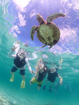 nico 宮古島に投稿された画像（2023/7/22）