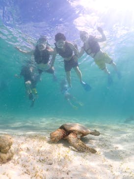 nico 宮古島に投稿された画像（2023/7/22）