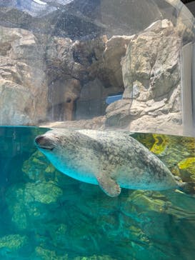 京都水族館に投稿された画像（2023/7/22）