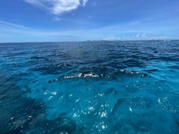 M.a.r.i.n.e Factoryに投稿された画像（2023/7/22）