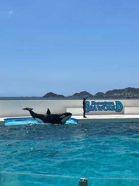 鴨川シーワールドに投稿された画像（2023/7/22）