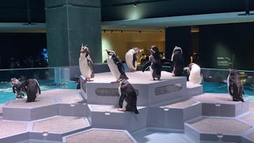 AOAO SAPPOROに投稿された画像（2023/7/22）