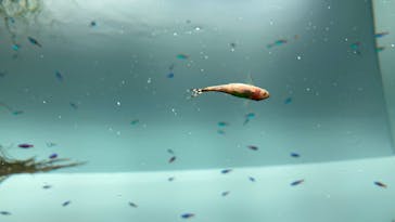 AOAO SAPPOROに投稿された画像（2023/7/22）