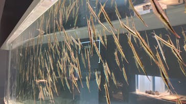 AOAO SAPPOROに投稿された画像（2023/7/22）