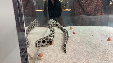 AOAO SAPPOROに投稿された画像（2023/7/22）