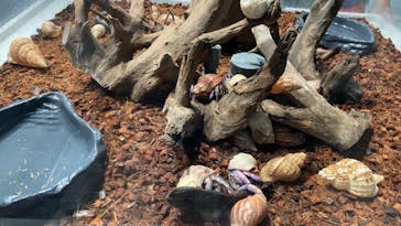 AOAO SAPPOROに投稿された画像（2023/7/22）