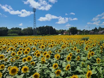 成田ゆめ牧場に投稿された画像（2023/7/22）