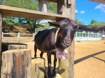 成田ゆめ牧場に投稿された画像（2023/7/22）