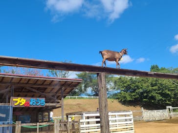 成田ゆめ牧場に投稿された画像（2023/7/22）