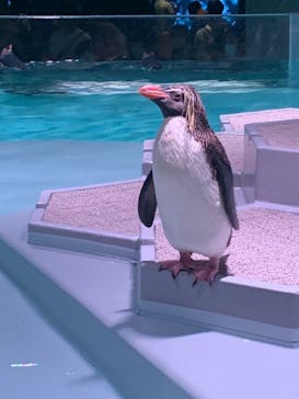 AOAO SAPPOROに投稿された画像（2023/7/22）