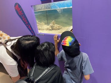 ぶっとんでるいきもの展に投稿された画像（2023/7/22）