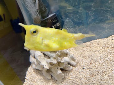 ぶっとんでるいきもの展に投稿された画像（2023/7/22）