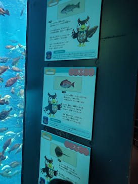 上越市立水族博物館 うみがたりに投稿された画像（2023/7/22）