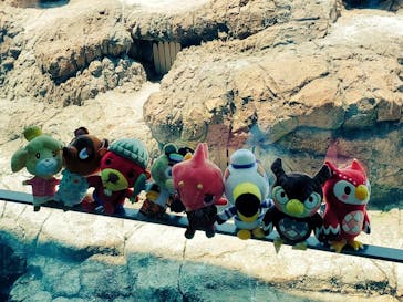 上越市立水族博物館 うみがたりに投稿された画像（2023/7/22）