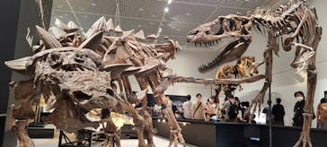 大阪市立自然史博物館に投稿された画像（2023/7/22）