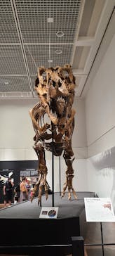 大阪市立自然史博物館に投稿された画像（2023/7/22）