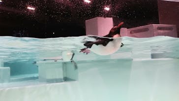 AOAO SAPPOROに投稿された画像（2023/7/22）