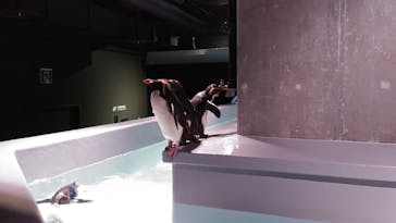 AOAO SAPPOROに投稿された画像（2023/7/22）