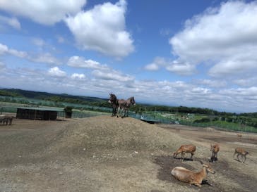 岩手サファリパークに投稿された画像（2023/7/22）