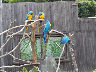 岩手サファリパークに投稿された画像（2023/7/22）