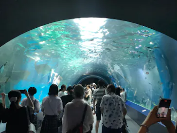 マクセル アクアパーク品川に投稿された画像（2023/7/22）