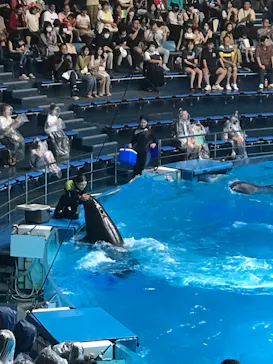 マクセル アクアパーク品川に投稿された画像（2023/7/22）