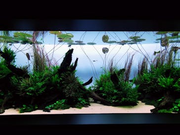 AOAO SAPPOROに投稿された画像（2023/7/22）