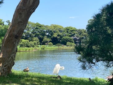 三溪園に投稿された画像（2023/7/22）