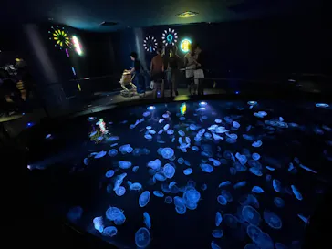 すみだ水族館に投稿された画像（2023/7/22）