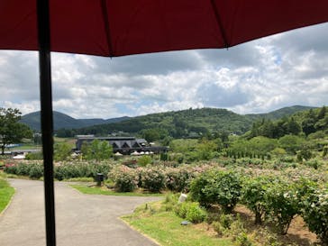 いばらきフラワーパークに投稿された画像（2023/7/22）