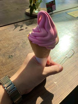 いばらきフラワーパークに投稿された画像（2023/7/22）