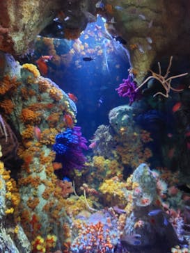 サンシャイン水族館に投稿された画像（2023/7/22）