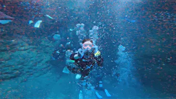 武藤潜水に投稿された画像（2023/7/22）