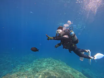 武藤潜水に投稿された画像（2023/7/22）