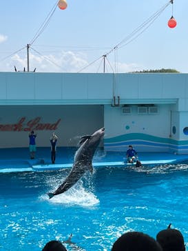 南知多ビーチランド＆南知多おもちゃ王国に投稿された画像（2023/7/22）