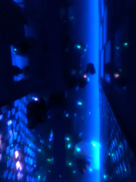 すみだ水族館に投稿された画像（2023/7/22）