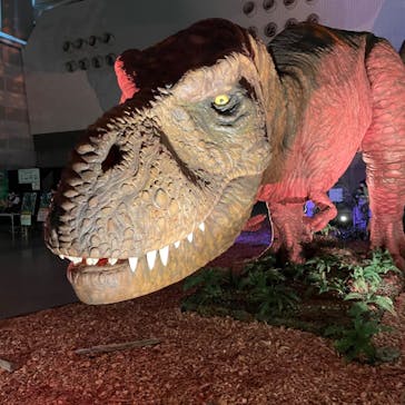 朱鷺メッセに投稿された画像（2023/7/22）