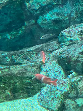 マクセル アクアパーク品川に投稿された画像（2023/7/22）