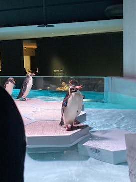 AOAO SAPPOROに投稿された画像（2023/7/22）