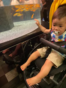 すみだ水族館に投稿された画像（2023/7/22）