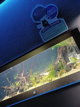 カワスイ 川崎⽔族館に投稿された画像（2023/7/22）