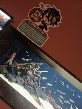 カワスイ 川崎⽔族館に投稿された画像（2023/7/22）