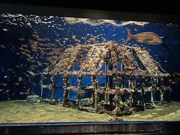 マリンワールド海の中道に投稿された画像（2023/7/22）