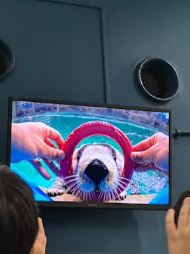 マリンワールド海の中道に投稿された画像（2023/7/22）