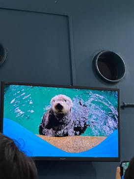 マリンワールド海の中道に投稿された画像（2023/7/22）