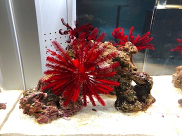 AOAO SAPPOROに投稿された画像（2023/7/22）