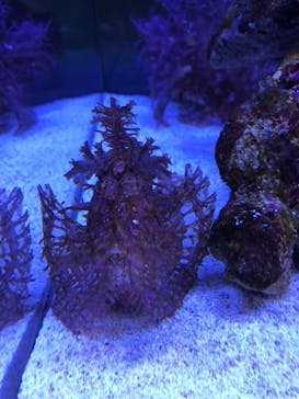 AOAO SAPPOROに投稿された画像（2023/7/22）